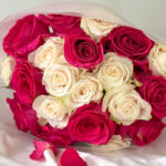 Ruby & Ivory Romance