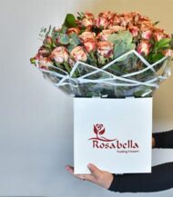 Cappuccino - Image 3