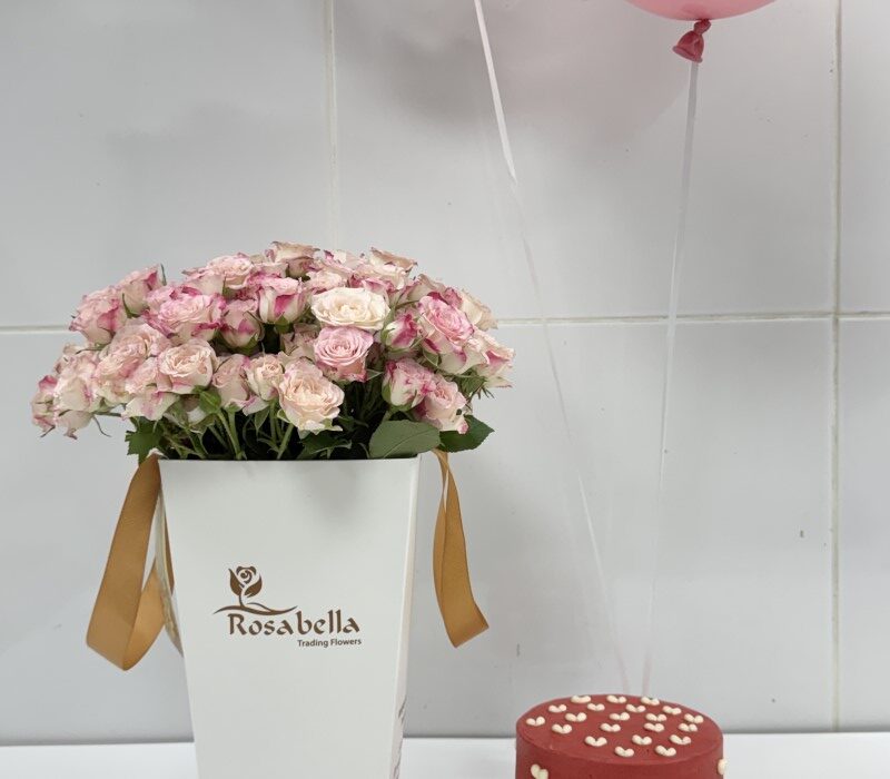 Reflex Bundle2 Reflex Bundle - Image 1