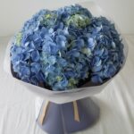 Sapphire Hydrangea Wrap