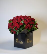 Scarlet Elegance Box - Image 2